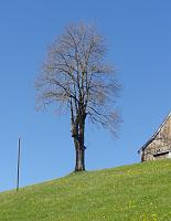  28. April 2012 - auf einer kleinen Wanderung unter der Landmark